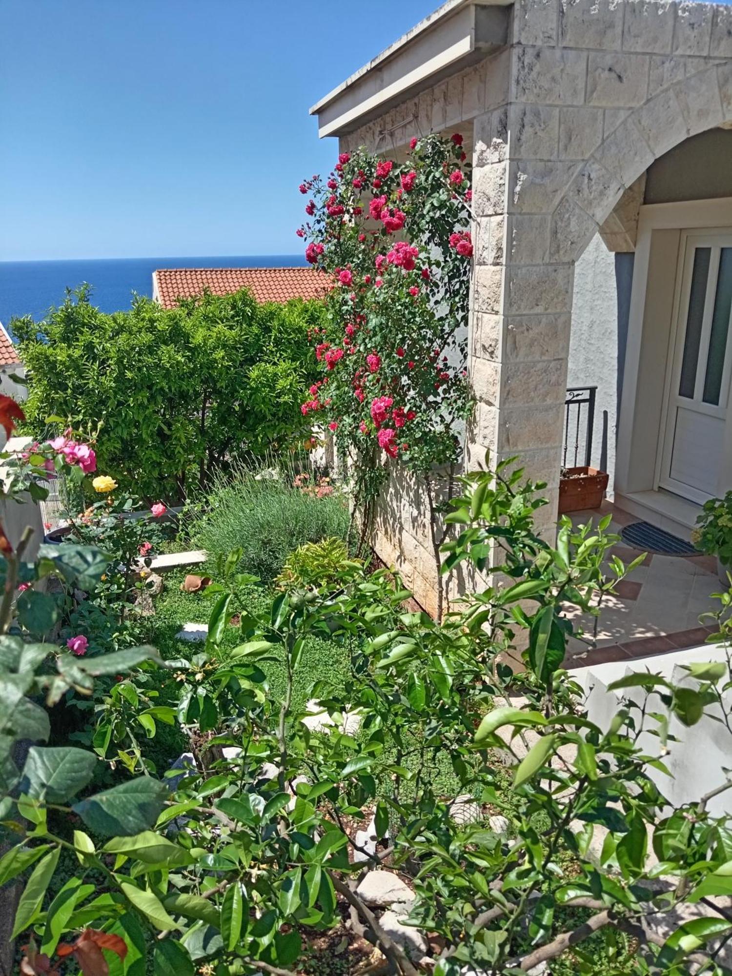 Summer Breeze Appartement