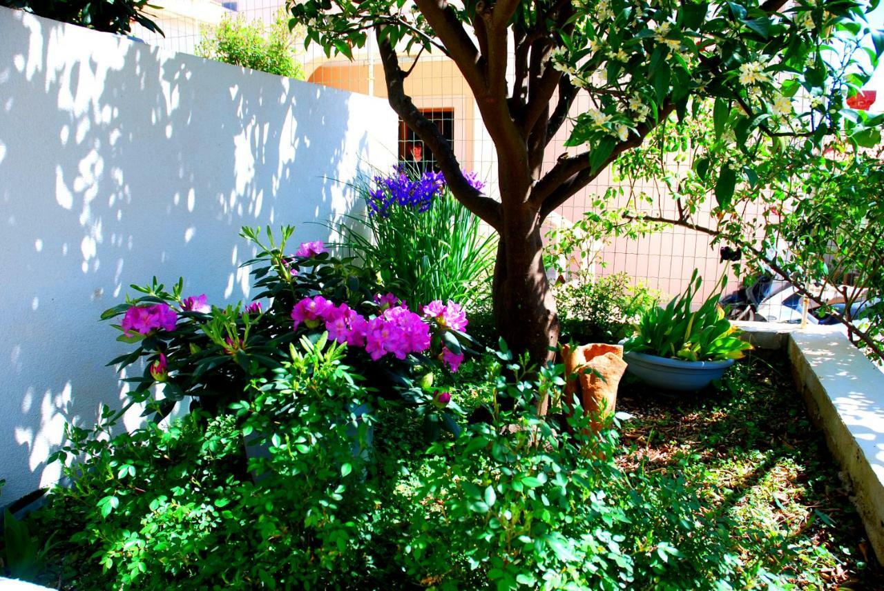Summer Breeze Cavtat